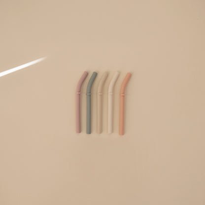 Silicone Replacement Straws - 5 Pack