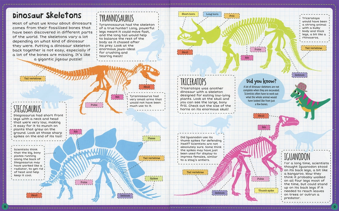 Dinosaur, Sticker Facts