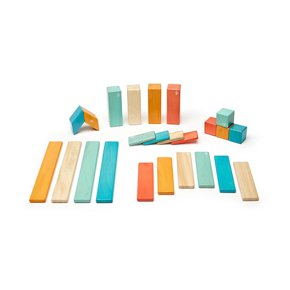 24-Piece Set Magnetic Wooden Blocks Tegu Classics