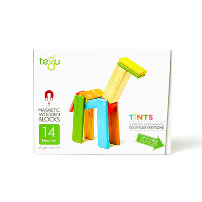 14-Piece Set Magnetic Wooden Blocks Tegu Classics