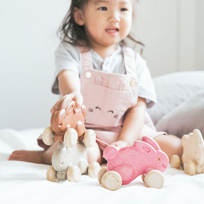 Push Along Bunny - Grey