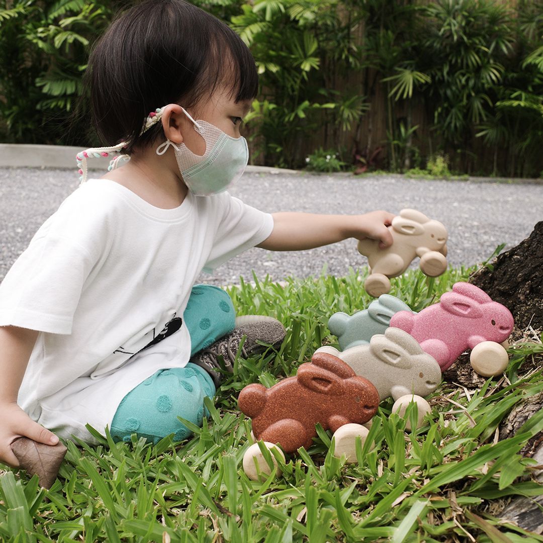 Push Along Bunny - Grey