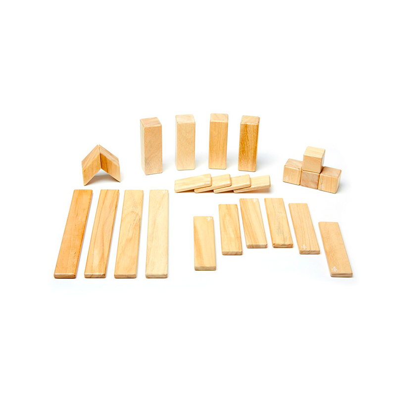 24-Piece Set Magnetic Wooden Blocks Tegu Classics