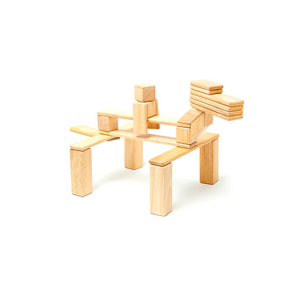 24-Piece Set Magnetic Wooden Blocks Tegu Classics