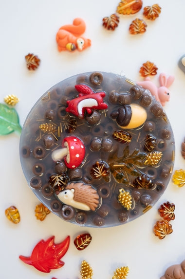 PickMe Pads - Fidget Toy - Woodland Theme