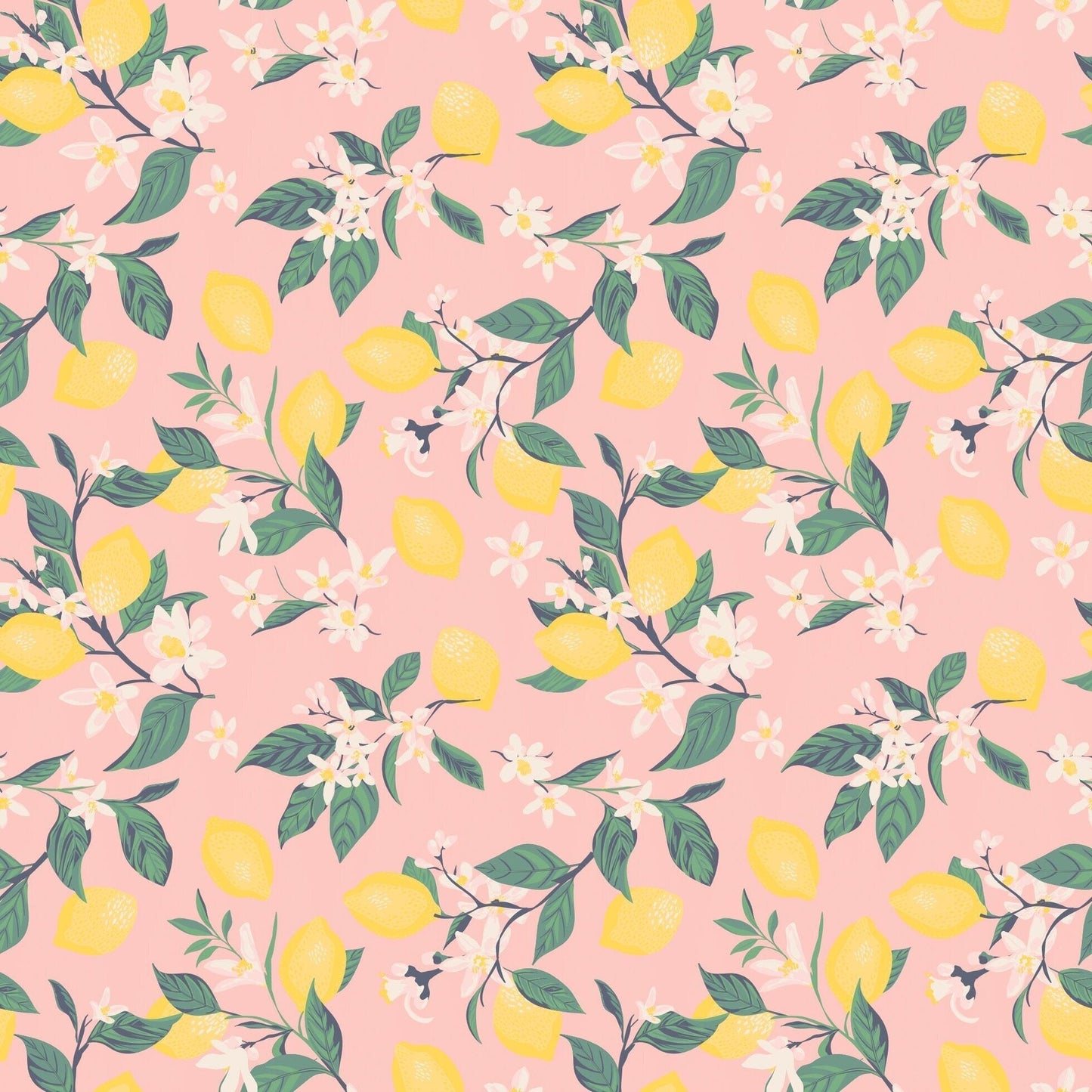 Pink Lemon Floral Print Cap Sleeve Swirly Girl Dress