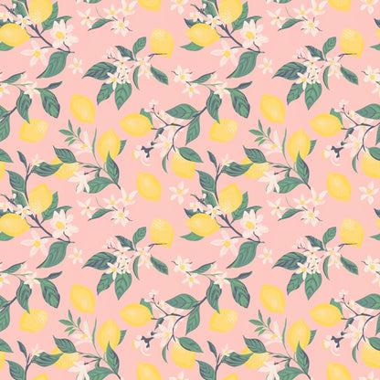 Pink Lemon Floral Print Cap Sleeve Swirly Girl Dress