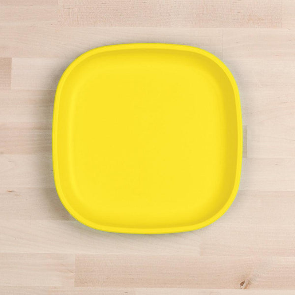 Re-Play Adult 9" Plate (more colors available)