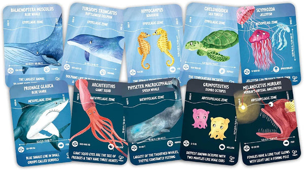 Ocean Life Puzzle - Glow in the Dark