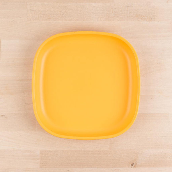 Re-Play Adult 9" Plate (more colors available)